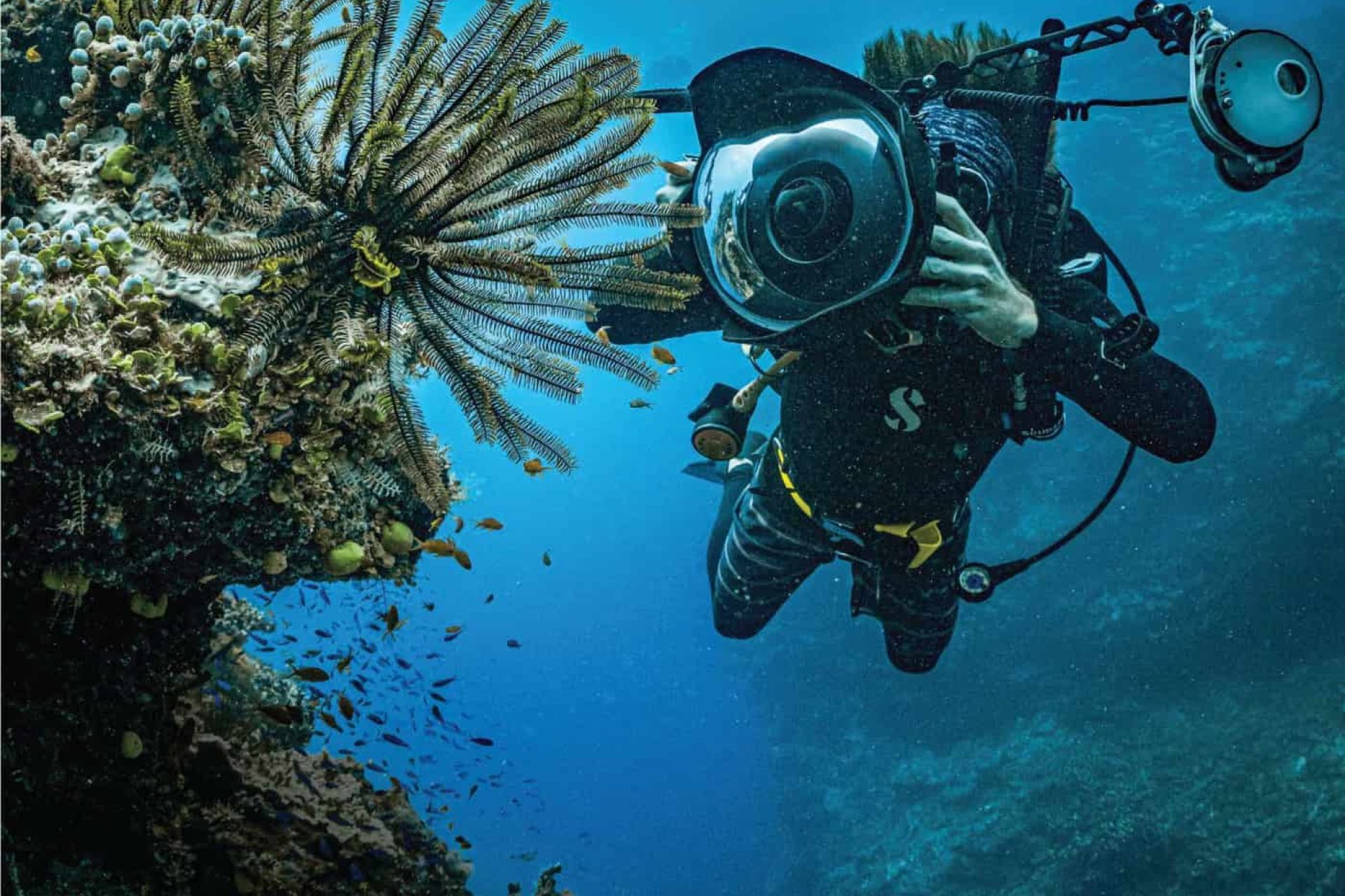 Un subacqueo fotografa una
barriera corallina nei
pressi di Wakaya
Island, alle Fiji