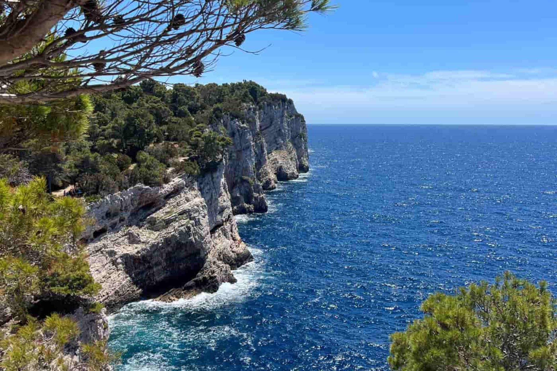 Tra il verde della fitta vegetazione, a Dugi Otok, si aprono scogliere sul mare.