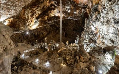 Grotta Gigante