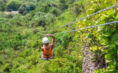Da una delle zipline dell’isola si ammira la bellezza della natura dall’alto