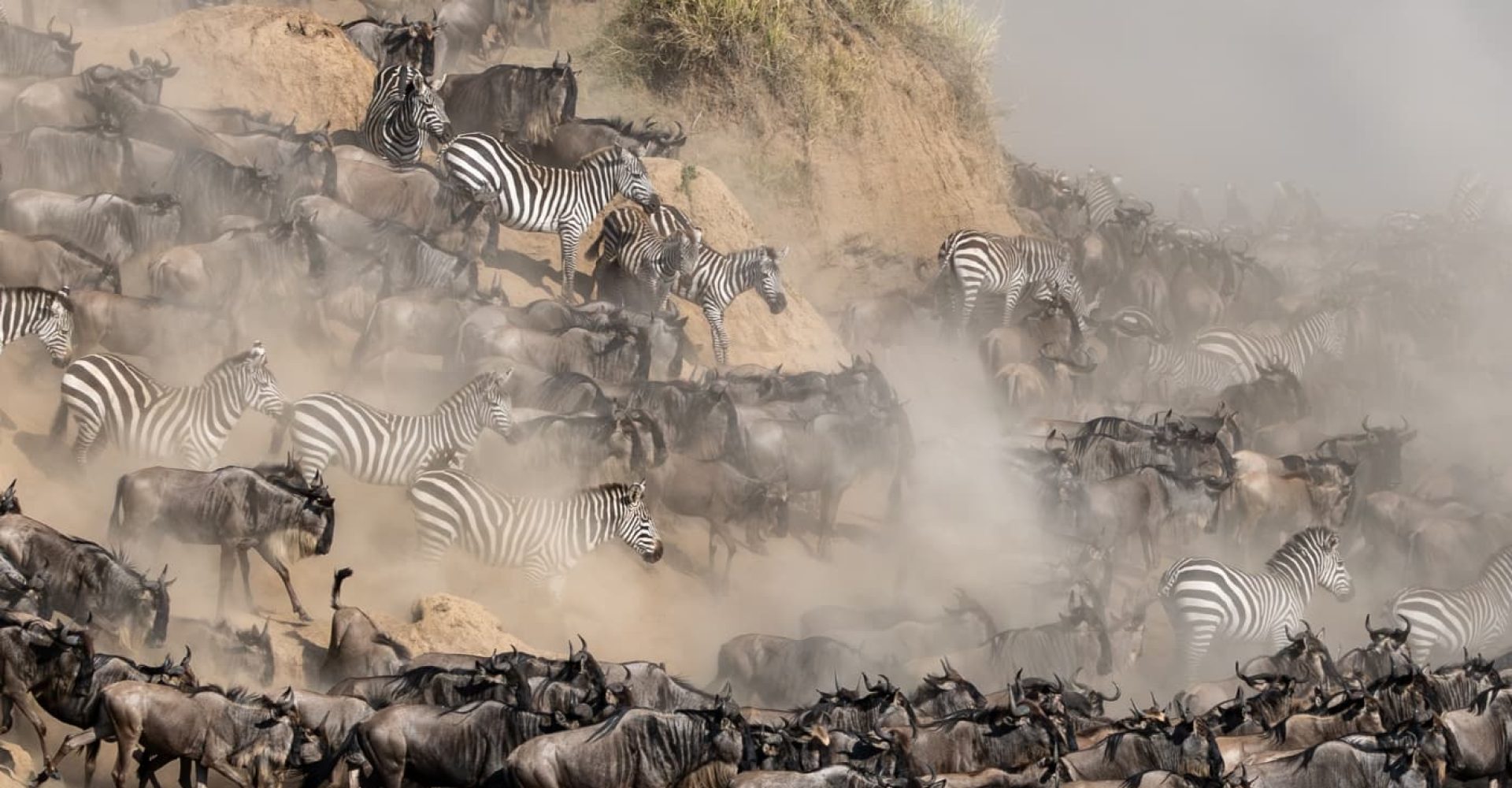 Grande migrazione Masai Mara.