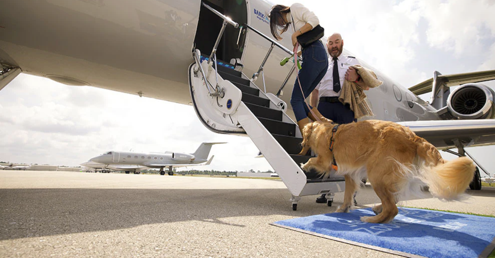 Credit: Bark Air