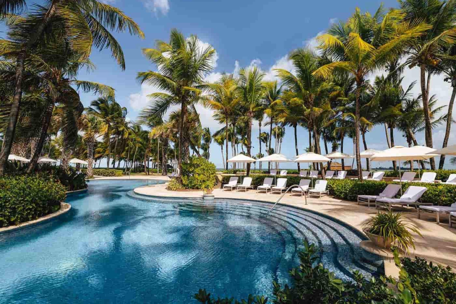 Credit: Ollie Tasho/Astra Studios