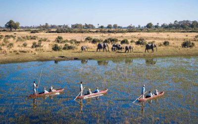 Gli ospiti del Wilderness Tubu Tree,
nel Botswana nordoccidentale, in canoa sul fiume Okavango