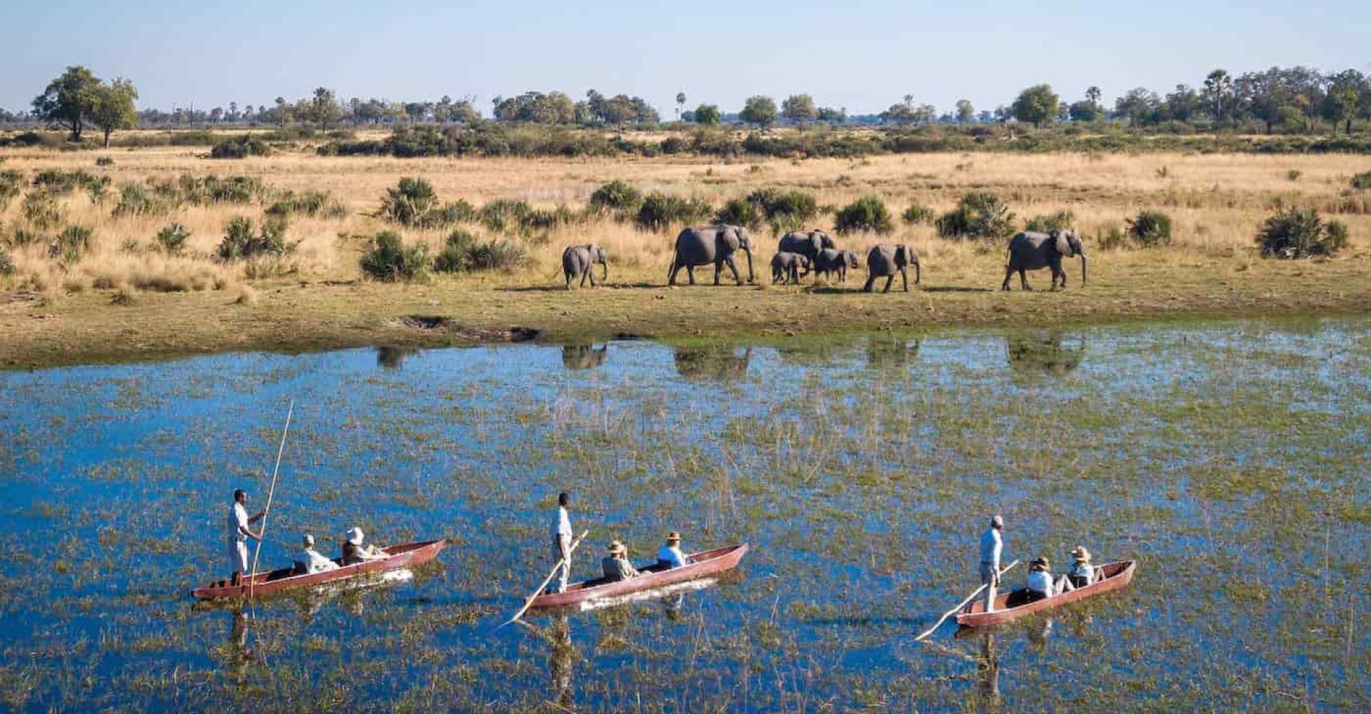 Gli ospiti del Wilderness Tubu Tree,
nel Botswana nordoccidentale, in canoa sul fiume Okavango