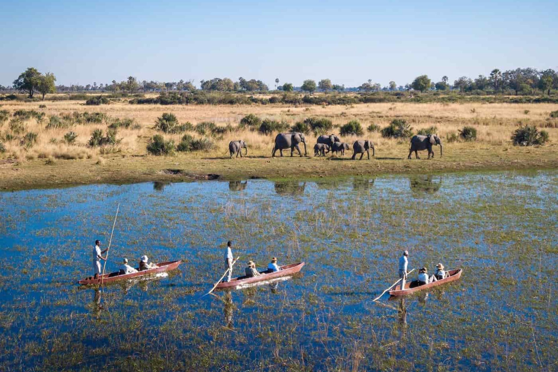 Gli ospiti del Wilderness Tubu Tree,
nel Botswana nordoccidentale, in canoa sul fiume Okavango