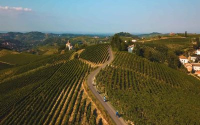 Territorio_Alto Monferrato-2