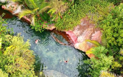 The Lost Spring, Nuova Zelanda