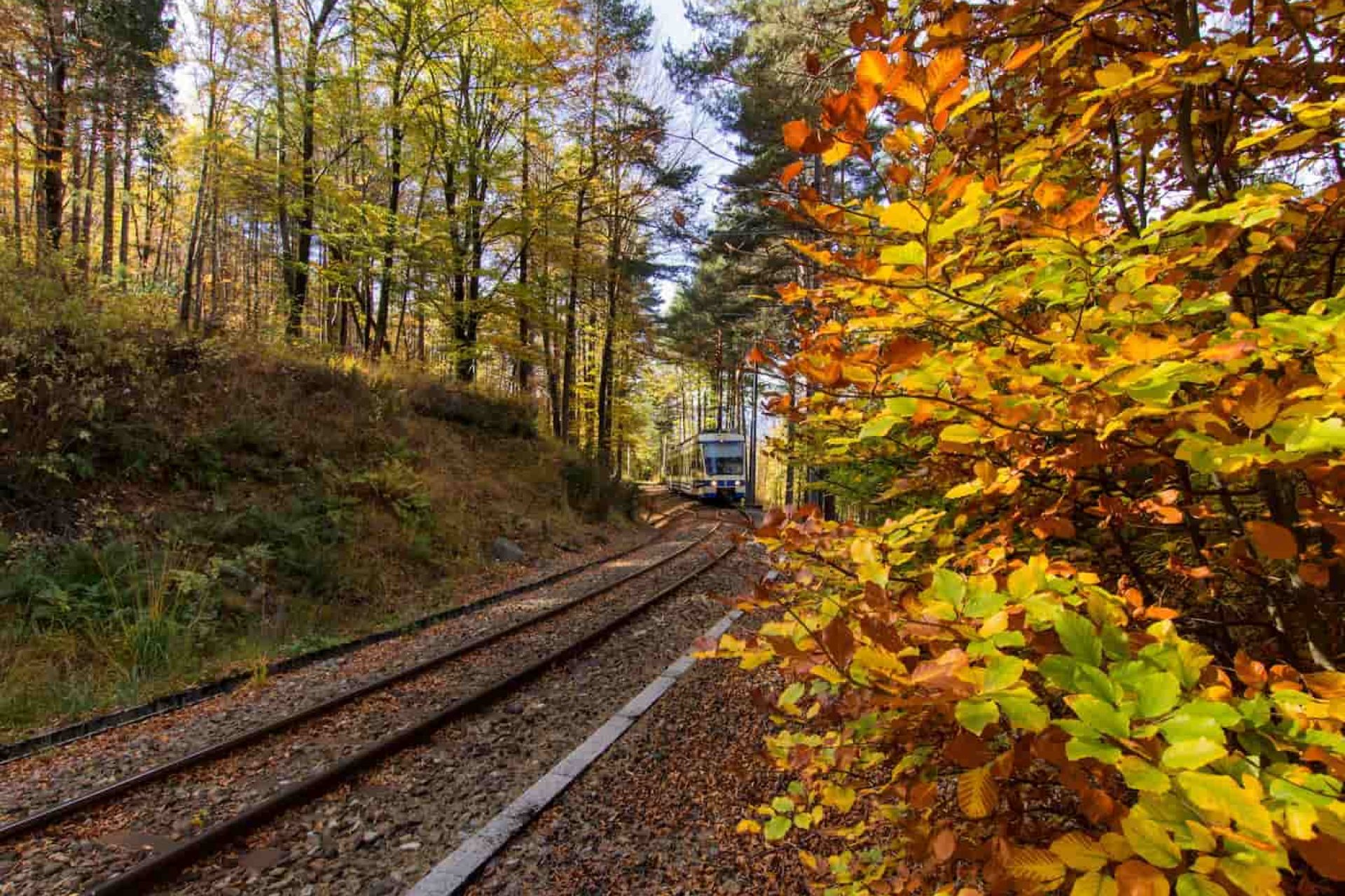 Ferrovia Vigezzina-Centovalli - ph. Marco Benedetto Cerini per Visit Ossola