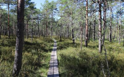 Walkmusa National Park