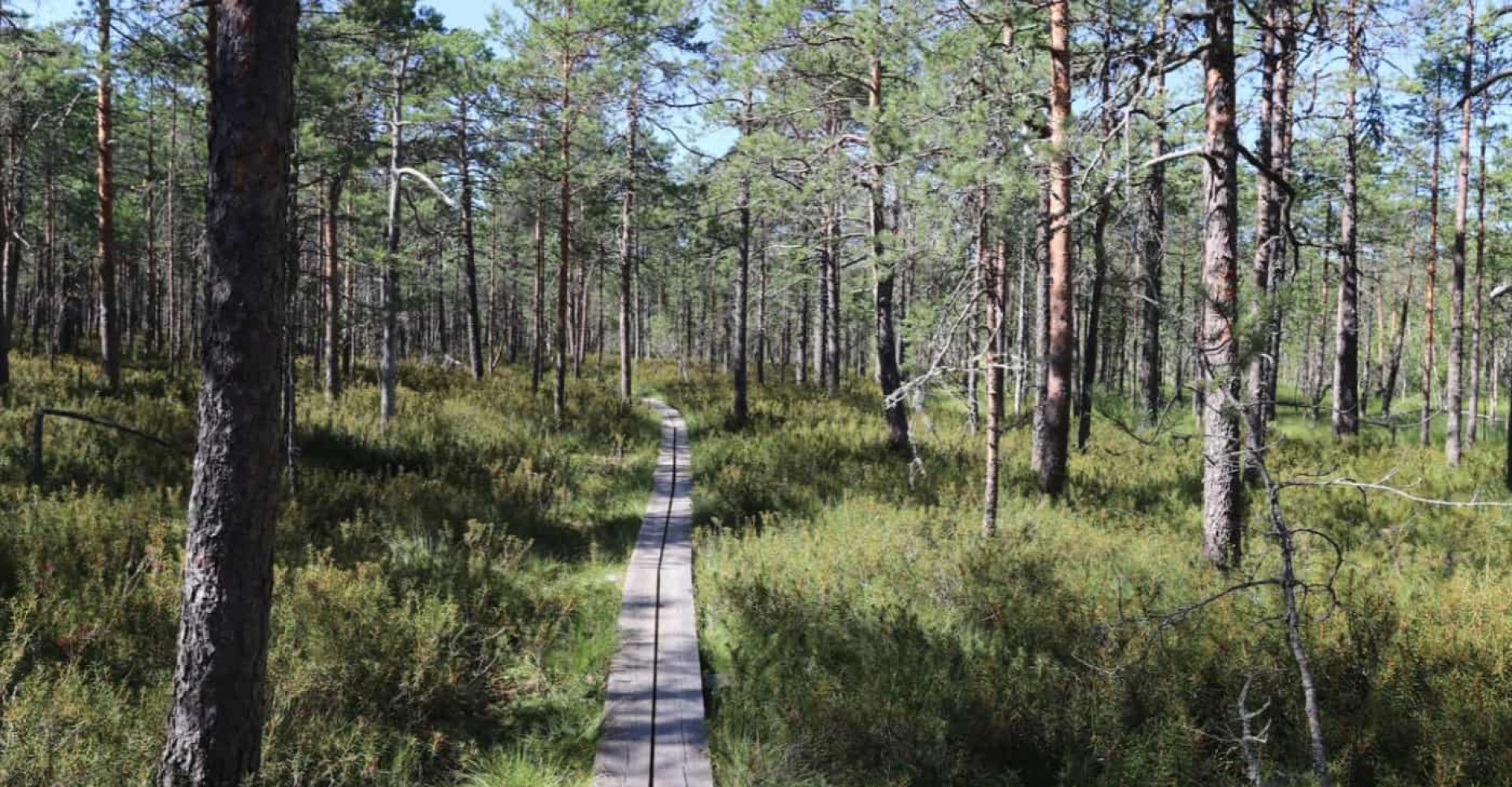Walkmusa National Park