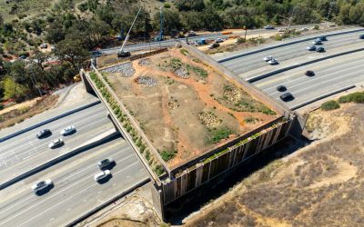 Ripresa aerea del Wallis Annenberg Wildlife Crossing a Liberty Canyon, un ponte di attraversamento per la fauna in costruzione