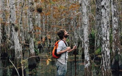 Una guida accompagna i visitatori lungo il Cypress Dome Wet Walk - Foto di Rose Marie Cromwell