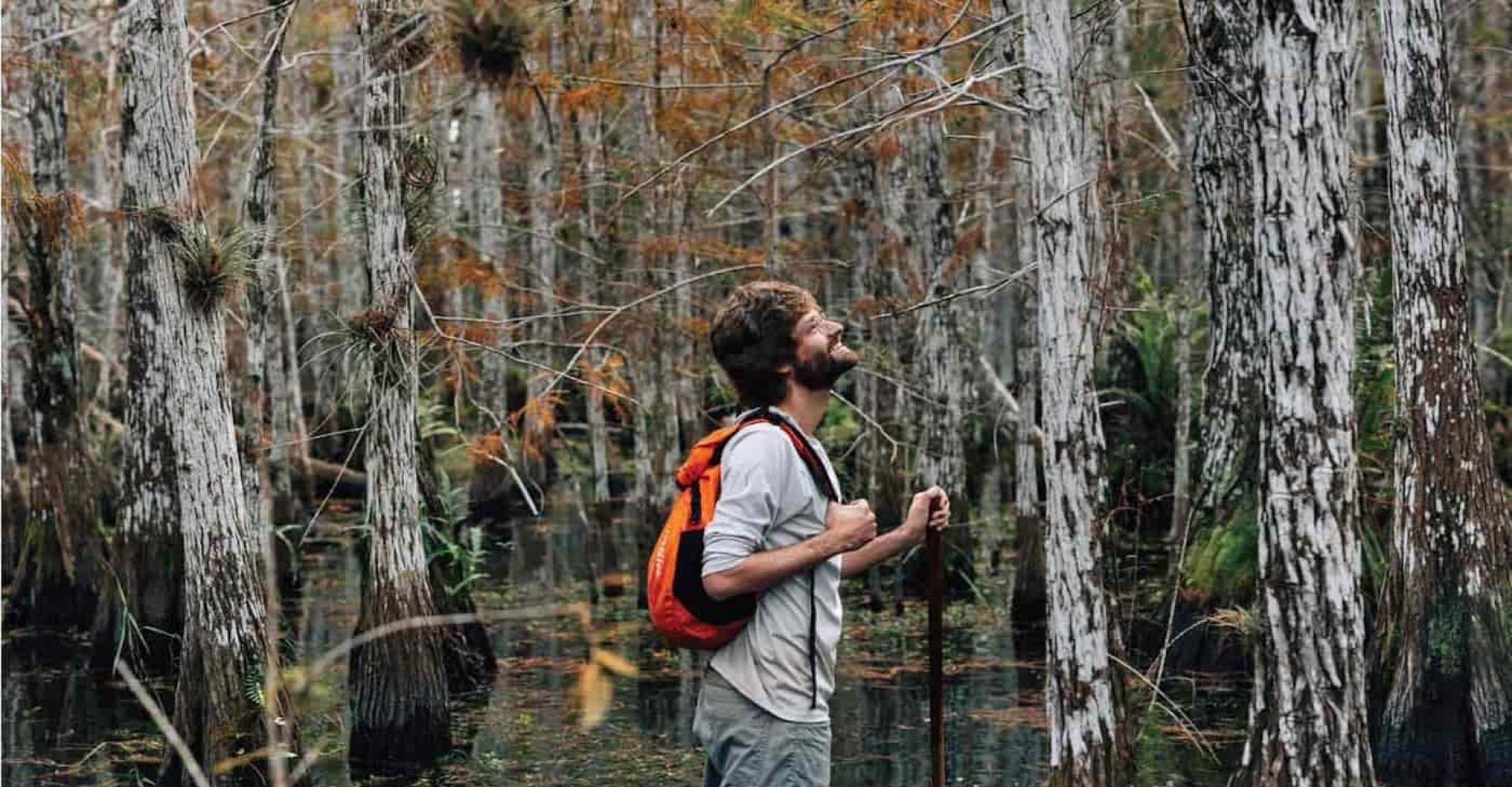 Una guida accompagna i visitatori lungo il Cypress Dome Wet Walk - Foto di Rose Marie Cromwell