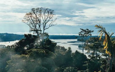Vista sul Parque Nacional Yasuní e sul Río Napo, nell’Amazzonia ecuadoriana - foto di Misha Vallejo Prut