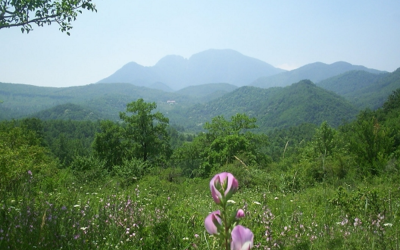 irpinia-turismo-lento-borghi-cammini-enoturismo