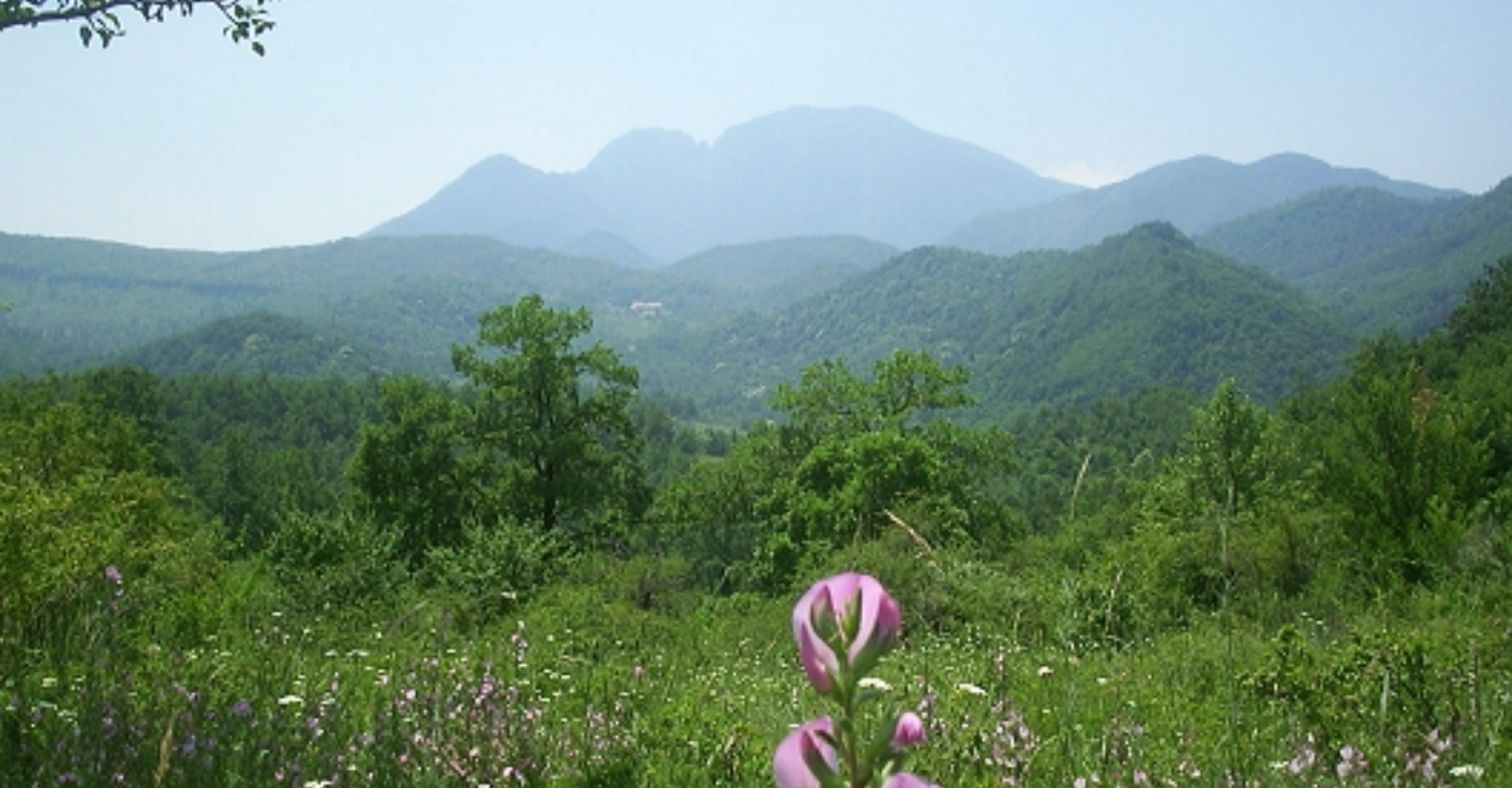 irpinia-turismo-lento-borghi-cammini-enoturismo