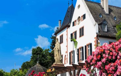 shutterstock_197763509-2