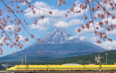 shutterstock_2154068635-2