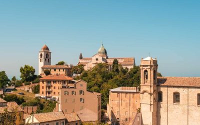 shutterstock_2367876601-2