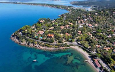 shutterstock_2422144485-2