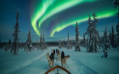 shutterstock_2517729111-2