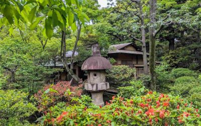 Lanterna in pietra giapponese nel giardino del museo di Nezu