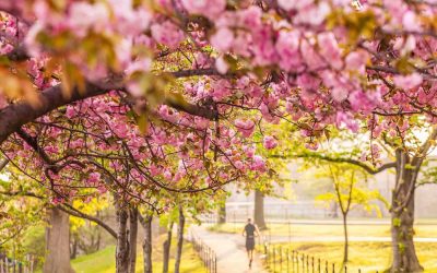 shutterstock_2594115279-2