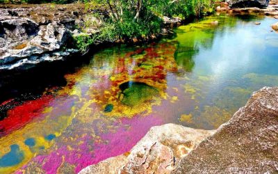 Caño Cristales