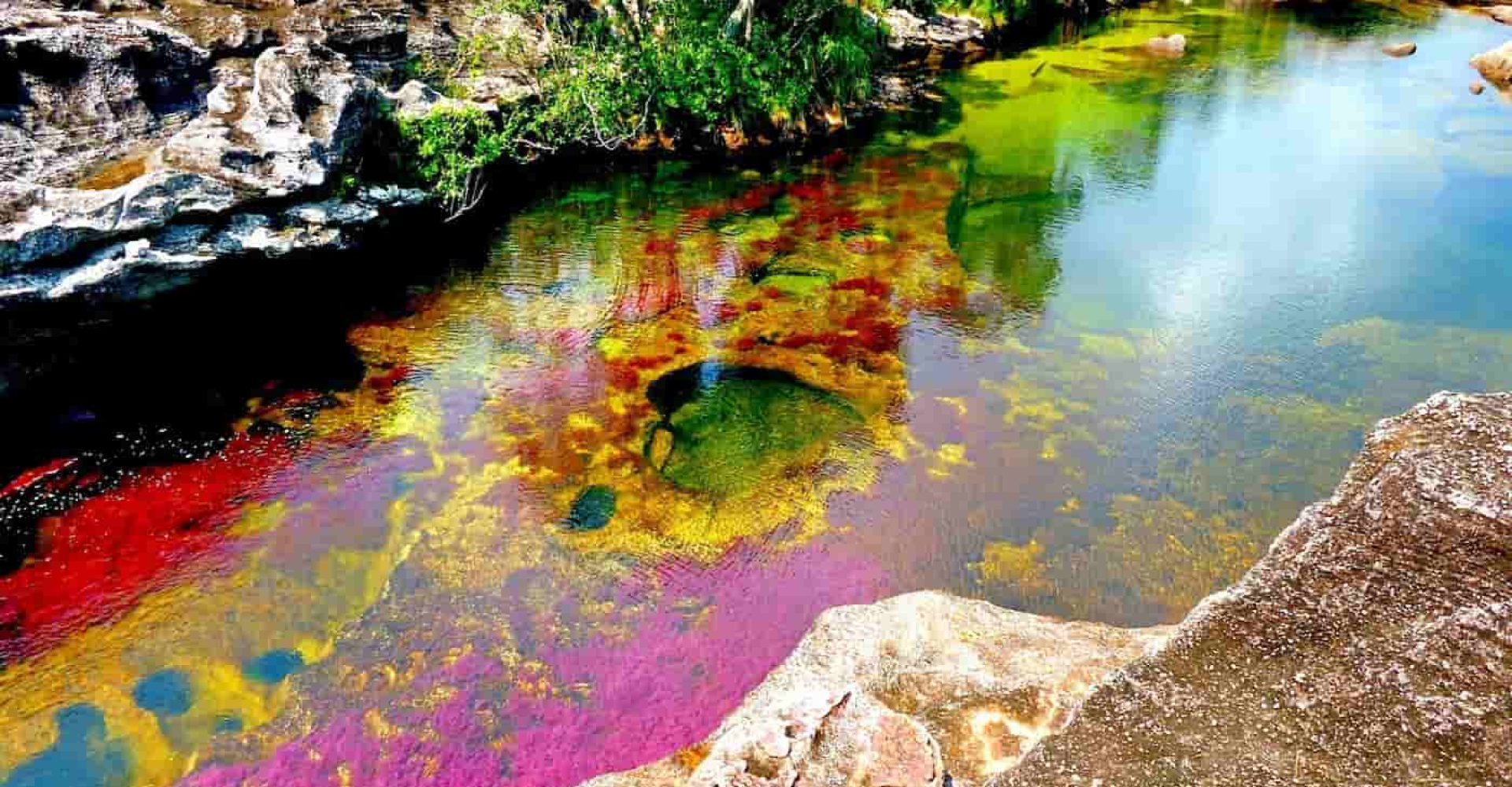Caño Cristales