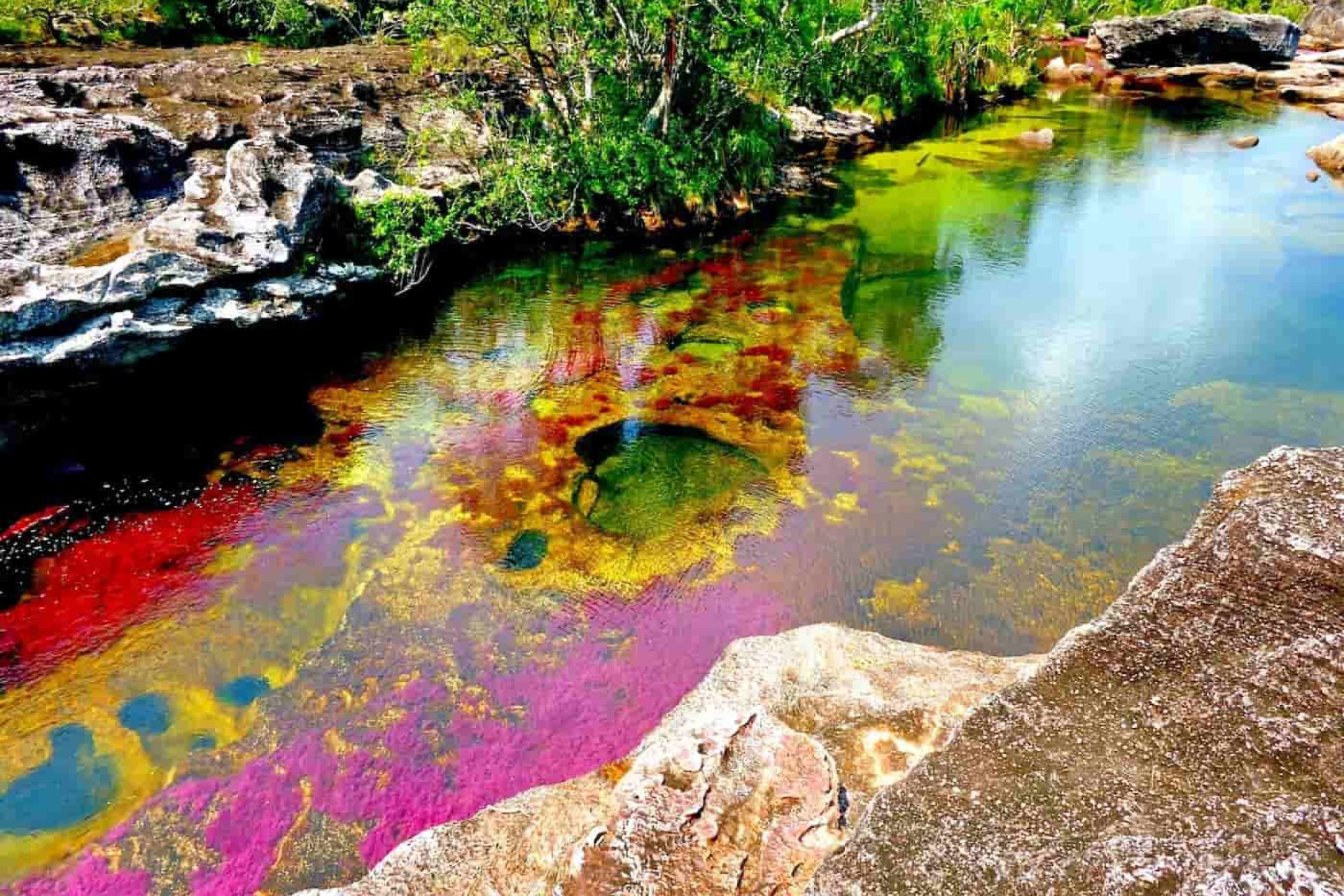 Caño Cristales