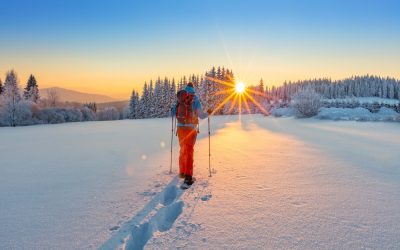 shutterstock_554783926