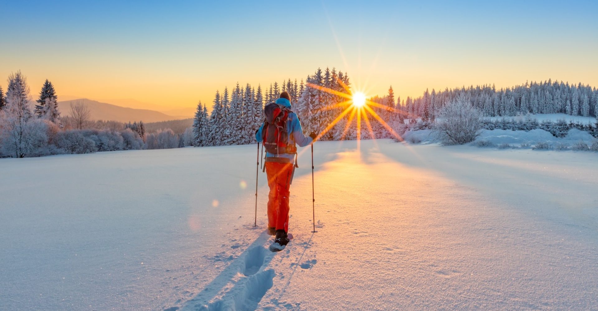 shutterstock_554783926